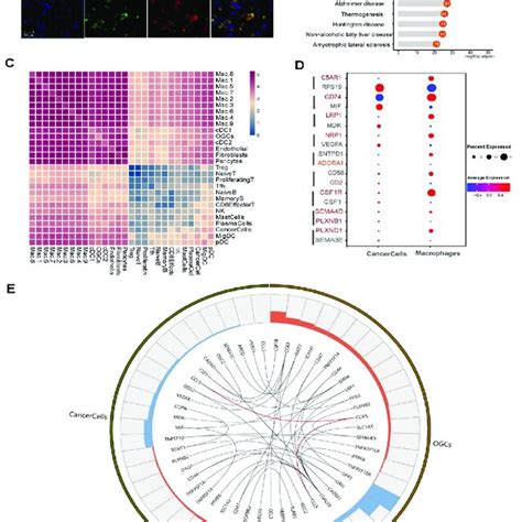 Image result for Transcriptome Analysis