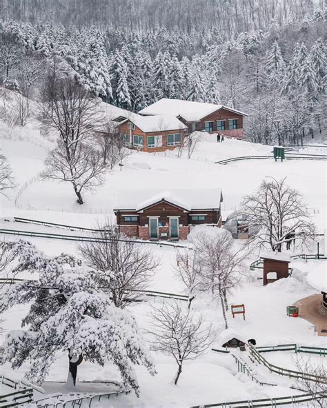 Pyeongchang County Korea