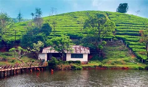 6 Beautiful Attractions To Visit in Vagamon, Kerala - lifeberrys.com