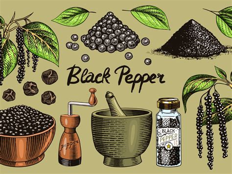 Black Pepper - Science-Backed Health Benefits, Nutrition Value & Uses