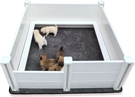 Amazon.com : Large 2 Room Whelping Box for Dogs and Puppies - 19 in ...