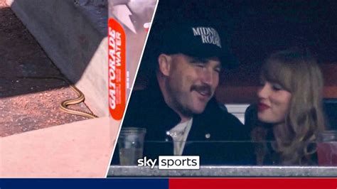 Snake in the dugout.. Taylor Swift in the crowd | An eventful day in ...