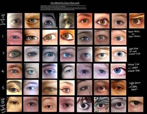 Human Eye coloUr chart by Delpigeon | Eye color chart, Eye color chart ...