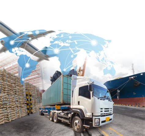 Import Export Services 的图像结果