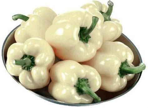 Capsicum Ivory white vegitable seeds – ASHIYANA STORE