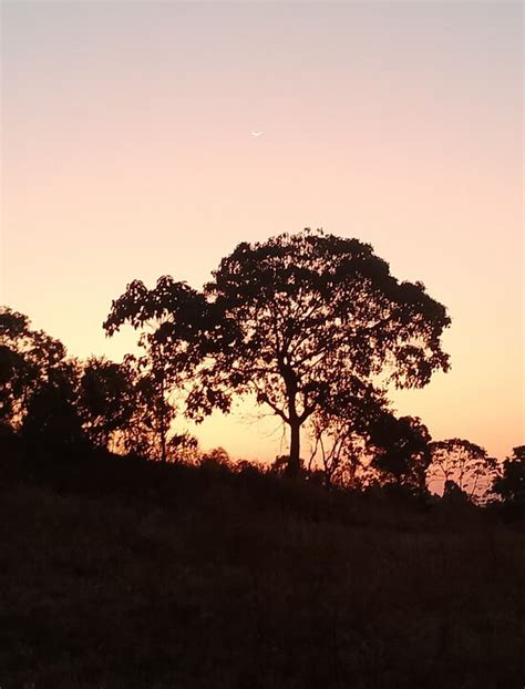 The Best Nekemte Bed and Breakfasts 2025 - Tripadvisor