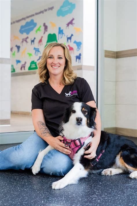 About Us | Animal Protective Foundation