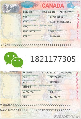 加拿大签证 | 含金量高的证书cfrm证书是什么样的 cfrm证书国家承认吗acaa证书 frm通过率是多少cfca数字… | Flickr