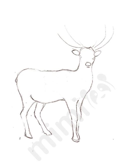 Deer Drawing Tutorial 的图像结果
