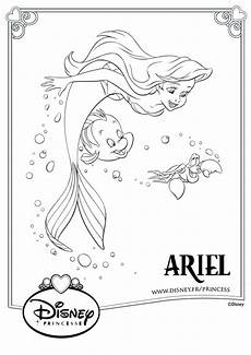 coloriages la sir 232 ne coloriage pour enfants d ariel s 233 bastien et polochon les coloriages la sir 232 ne coloriage pour enfants d ariel s 233 bastien et polochon les