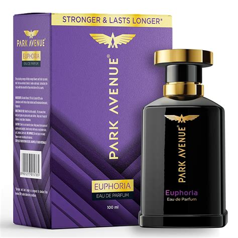 Buy Park Avenue Euphoria, Eau De Parfum Men, 100ml | Long Lasting ...
