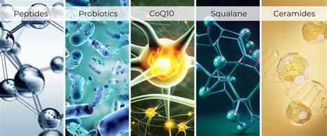 Image result for Biomimetics Examples