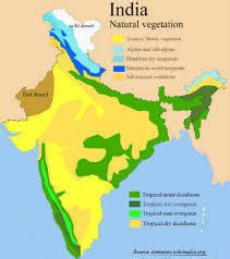 Tidal forest place in india map - Brainly.in