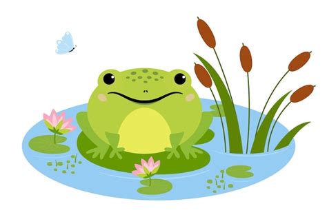 Image result for Frog Amphibia Cartoon