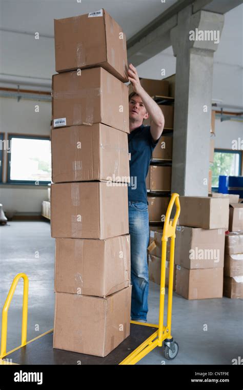 Image result for Fat Person Stacking Boxes