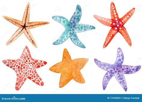 Clipart Of Starfish | cupitonians