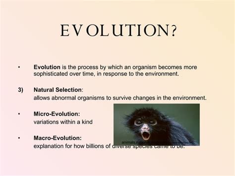 Image result for Creationism Vs Evolution