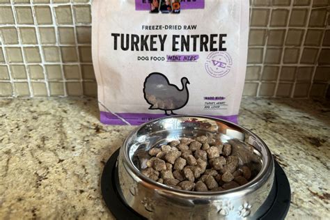 The 9 Best Freeze-Dried Dog Foods of 2026