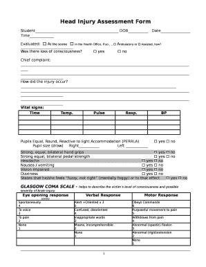 Head Injury Assessment Form - Blank Fillable Template | Fill Out, Print ...