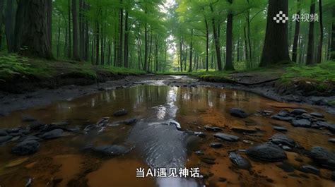 央视 Ai 的图像结果