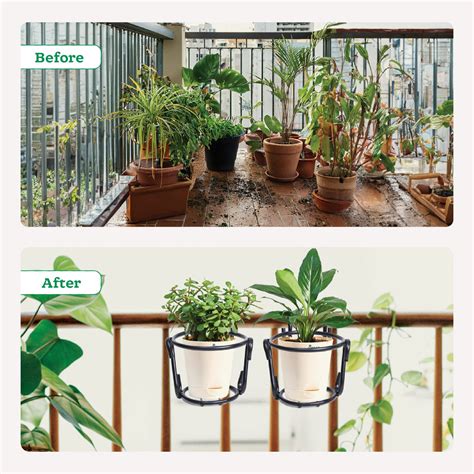 Hanging Plant Stands - Set of 2 – Ugaoo
