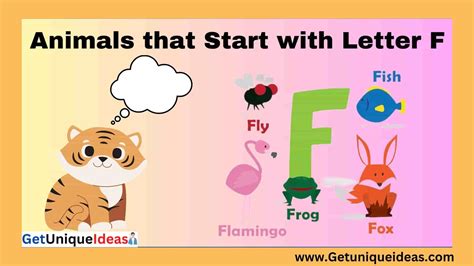 List of 100 Animals that Start with F: Pictures, Facts - GetUniqueIdeas
