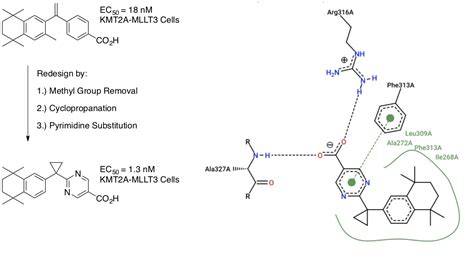 Modeling, Synthesis, and Biological Evaluation of Potential Retinoid-X ...