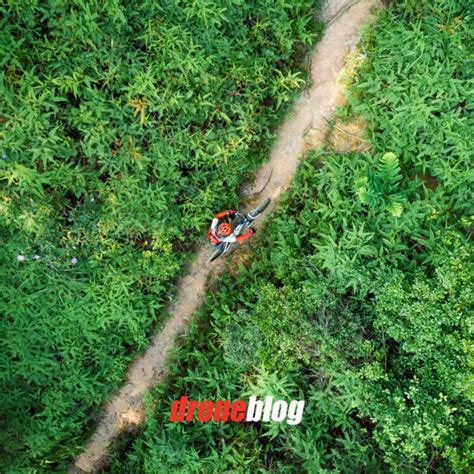 DJI Phantom 4 Pro Follow Me Tutorial 的图像结果