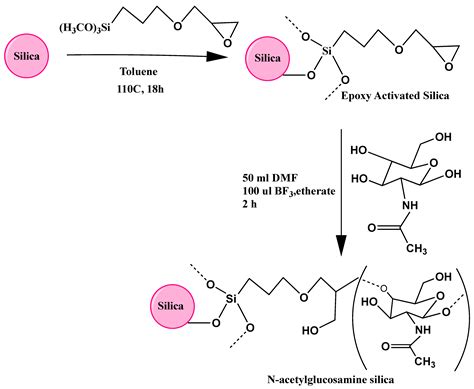 Silica-Based Stationary Phase with Surface Bound N-Acetyl-glucosamine ...