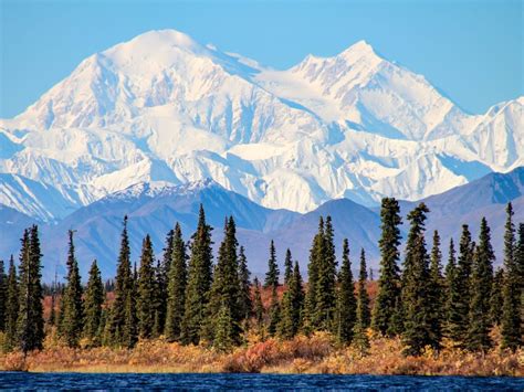 アラスカ 州 シャチ に対する画像結果