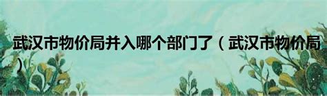 2017武汉三镇年货地图出炉！手把手教你淘到好年货，附价格、路线、实物图 - 每日头条