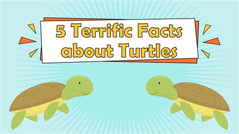 Islands:10 Top Interesting Facts That Will Blow Your Mind - LearningMole
