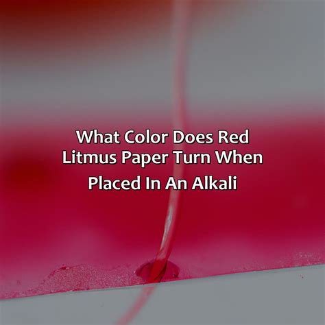 What Color Does Red Litmus Paper Turn When Placed In An Alkali ...