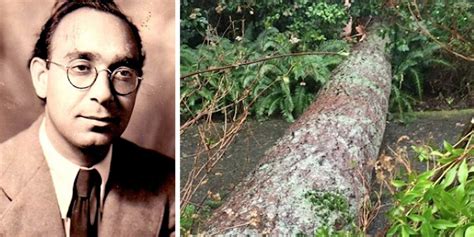 Watch: ICSE Drops Krishan Chander's 1960s Story Which Questions ...