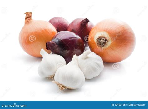 Onion And Garlic Are Examples Of at Lawrence Henry blog