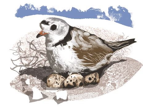 Shifting Sands, Changing Tides • Jekyll Island, Georgia • Vacation ...