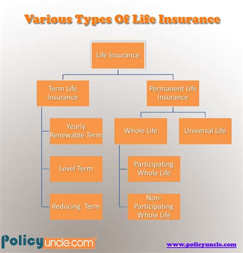 Life Insurance Coverage 的图像结果