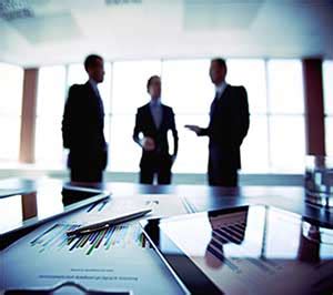 *We carry out statutory audits, Internal audits, Tax audits, Business ...