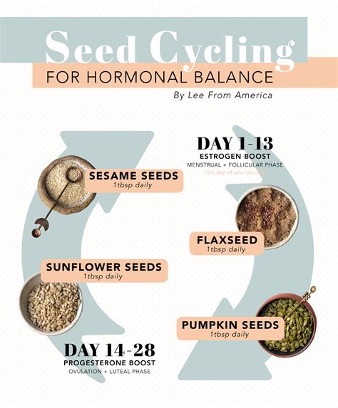 Rebalance hormones with a hormone balancing diet – Artofit