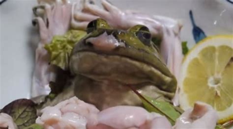 上海最灵的9碗牛蛙面，吃多少次都不会腻！