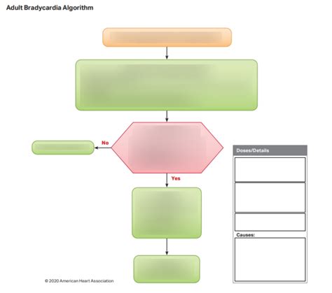 Image result for ACLS Bradycardia Algorithm