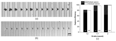 Deterministic Capture of Individual Circulating Tumor Cells Using a ...