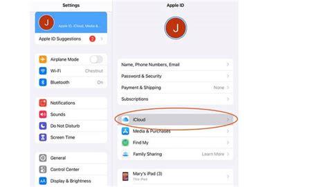 IPad Factory Reset 的图像结果
