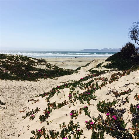 North Beach Campground - Pismo State Beach Camping | Pismo Beach, CA ...