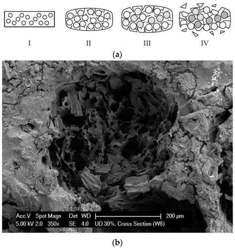 Environmental Degradation of Plastic Composites with Natural Fillers—A ...