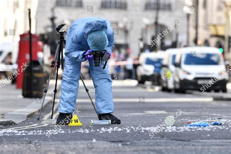 Evidence Police Photography Example 的图像结果