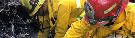 Local 2216 Logo 的图像结果