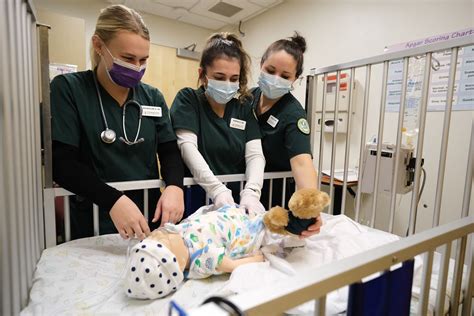 Rezultat imagine pentru Simulation Laboratory