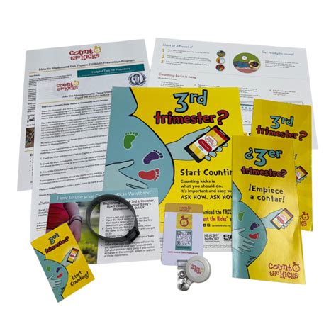 Count the Kicks Toolkit (English) - MA - Count the Kicks