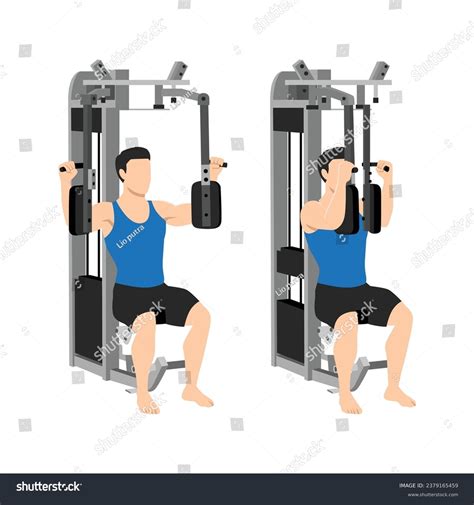 Image result for Chest Fly Machine Workout